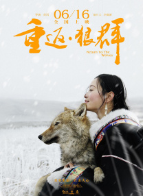 伊人精彩视频